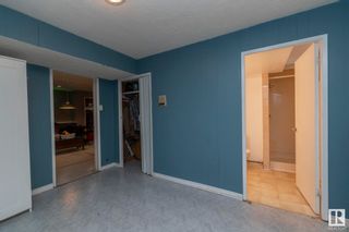 Photo 29: 11307 46 Avenue in Edmonton: Zone 15 House for sale : MLS®# E4375336