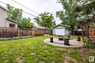 Photo 6: 11903 91 Street in Edmonton: Zone 05 House for sale : MLS®# E4300694
