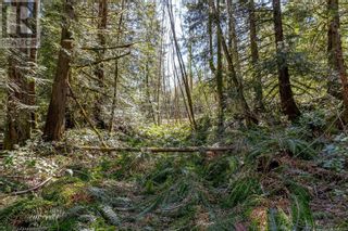 Photo 27: Lot 12 Mountain Rd in Duncan: Vacant Land for sale : MLS®# 959360