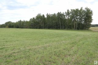 Photo 6: TWP 473A RR 13: Rural Leduc County Rural Land/Vacant Lot for sale : MLS®# E4313307