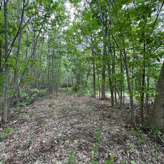 Photo 26: 15 Conquerall Road in Hebbs Cross: 405-Lunenburg County Vacant Land for sale (South Shore)  : MLS®# 202325145