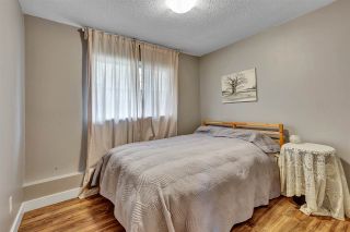 Photo 20: 7814 167A Street in Surrey: Fleetwood Tynehead House for sale : MLS®# R2557532