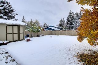 Photo 45: 208 Silver Crest Road NW in Calgary: Silver Springs Detached for sale : MLS®# A2008139