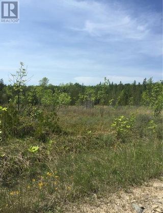 Photo 16: Pt Lt 33 Clover Valley Road E in Manitowaning: Vacant Land for sale : MLS®# 2116051