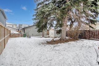 Photo 6: 430 21 Avenue NE in Calgary: Winston Heights/Mountview Detached for sale : MLS®# A2029661