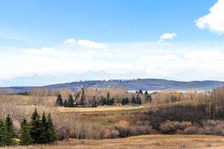 Photo 15: 290099 1016 Drive E: Rural Foothills County Detached for sale : MLS®# A2088806