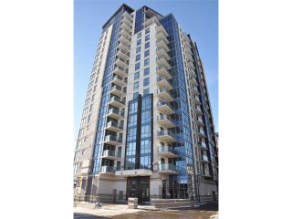 Photo 11: 1706 325 3 Street SE in Calgary: Downtown East Village Condo for sale : MLS®# C4018857