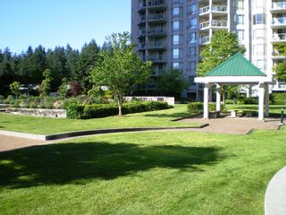 Photo 55: # 303 - 1189 Eastwood Street in Coquitlam: North Coquitlam Condo for sale in "THE CARTIER" : MLS®# V844049