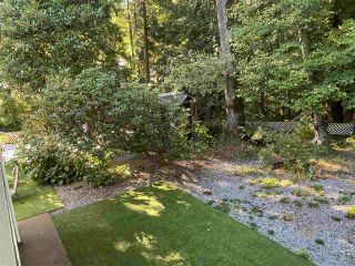 Photo 39: 1955 AUSTIN Avenue in Coquitlam: Central Coquitlam House for sale : MLS®# R2492713