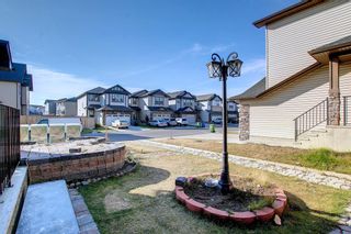 Photo 49: 449 Skyview Ranch Way NE in Calgary: Skyview Ranch Detached for sale : MLS®# A2007976