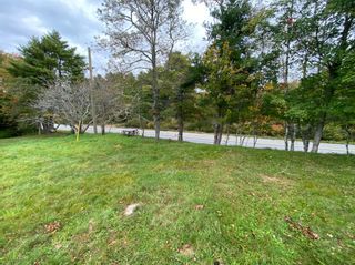 Photo 5: 927 Highway 203 in Lower Ohio: 407-Shelburne County Vacant Land for sale (South Shore)  : MLS®# 202319922