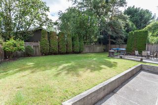 Photo 17: 17256 62 AVENUE in Surrey: Cloverdale BC House for sale (Cloverdale)  : MLS®# R2090763