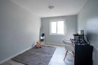 Photo 11: 287 Bertrand Street in Winnipeg: St Boniface Residential for sale (2A)  : MLS®# 202323620