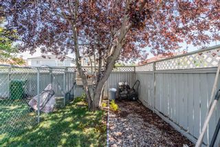 Photo 41: 326 California Place NE in Calgary: Monterey Park Detached for sale : MLS®# A2074155