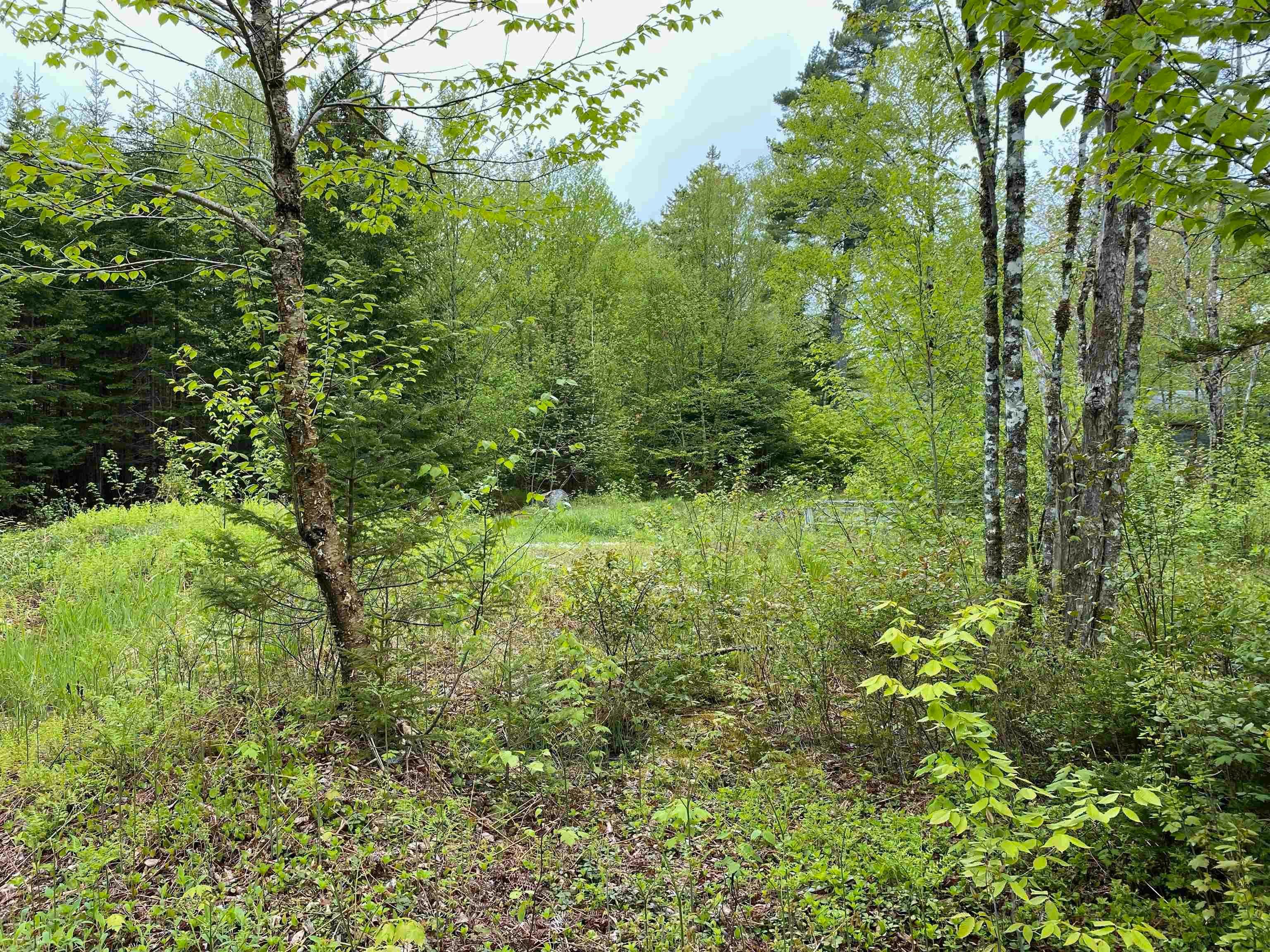 Vacant Land in Mount Uniacke
