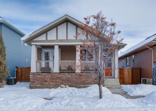 Main Photo: 228 Prestwick Manor SE in Calgary: McKenzie Towne Detached for sale : MLS®# A2031936