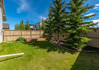 Photo 31: 2 Royal Birch Heights NW in Calgary: Royal Oak Detached for sale : MLS®# A2019295