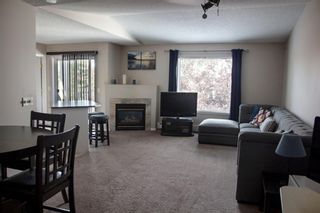 Photo 4: 301 3301 Valleyview Park SE in Calgary: Dover Apartment for sale : MLS®# A1191824