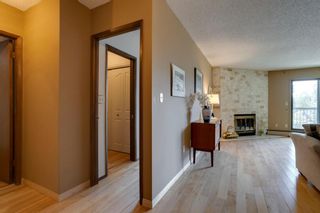 Photo 13: 306 220 26 Avenue SW in Calgary: Mission Apartment for sale : MLS®# A1226836