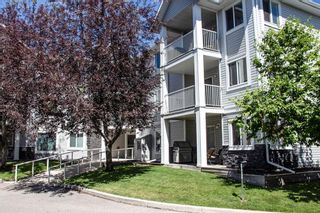 Photo 1: 301 3301 Valleyview Park SE in Calgary: Dover Apartment for sale : MLS®# A1191824