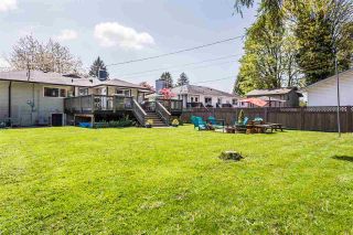 Photo 19: 22043 SELKIRK Avenue in Maple Ridge: West Central House for sale : MLS®# R2262384
