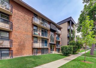 Photo 21: 303 924 18 Avenue SW in Calgary: Lower Mount Royal Apartment for sale : MLS®# A1224333