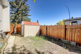 Photo 34: 107 Castlebrook Drive NE in Calgary: Castleridge Detached for sale : MLS®# A2003208