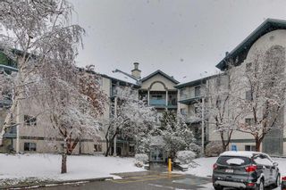 Main Photo: 316 10 Dover Point Pointe SE in Calgary: Dover Apartment for sale : MLS®# A2119356