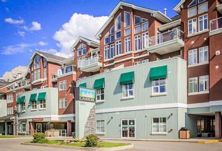 Photo 1: 313 1151 Sidney Street: Canmore Apartment for sale : MLS®# A2133391