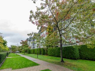 Photo 36: 312 7089 MONT ROYAL Square in Vancouver: Champlain Heights Condo for sale in "CHAMPLAIN VILLAGE" (Vancouver East)  : MLS®# R2627037