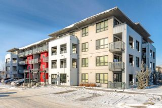 Photo 1: 1210 350 Livingston Common NE in Calgary: Livingston Apartment for sale : MLS®# A2101485