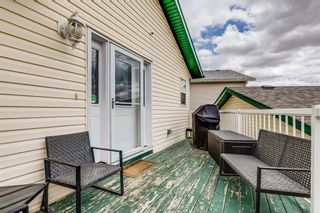 Photo 25: 114 Creekside Bay NW: Airdrie Detached for sale : MLS®# A2043485