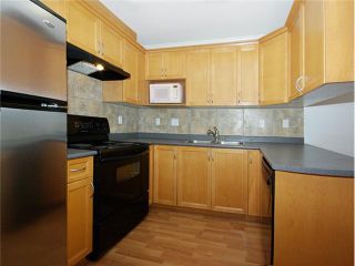 Photo 2: 407 189 ONTARIO Place in Vancouver: Main Condo for sale in "THE MAYFAIR" (Vancouver East)  : MLS®# V983249