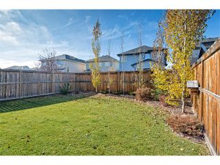 Photo 25: 180 ROYAL OAK Terrace NW in Calgary: Royal Oak House for sale : MLS®# C4086871