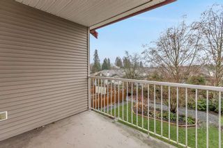 Photo 31: 11533 228 St in Maple Ridge: East Central House for sale : MLS®# R2535638