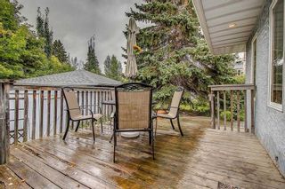 Photo 31: 2824 31 Street SW in Calgary: Killarney/Glengarry Detached for sale : MLS®# A2105329