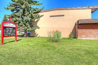 Photo 47: 1024 Rundle Crescent NE in Calgary: Renfrew Semi Detached (Half Duplex) for sale : MLS®# A2010541