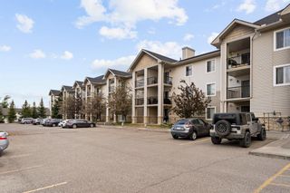 Photo 22: 1225 2371 Eversyde Avenue SW in Calgary: Evergreen Apartment for sale : MLS®# A2052077