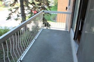 Photo 14: 201 521 57 Avenue SW in Calgary: Windsor Park Apartment for sale : MLS®# A2069117