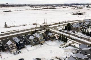 Photo 43: 66 Silverado Ponds View SW in Calgary: Silverado Detached for sale : MLS®# A2016648