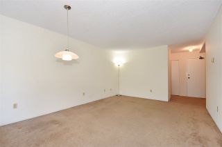 Photo 3: 214 8460 ACKROYD Road in Richmond: Brighouse Condo for sale : MLS®# R2302010