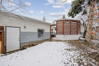 Photo 31: 4407 46 Avenue SW in Calgary: Glamorgan Detached for sale : MLS®# A2126296