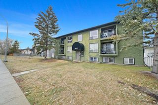 Photo 2: 206 4512 75 Street NW in Calgary: Bowness Apartment for sale : MLS®# A2010077