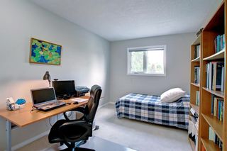 Photo 36: 256 Sunmills Place SE in Calgary: Sundance Detached for sale : MLS®# A1242862