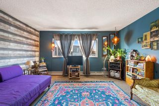 Photo 9: 5 1633 11 Avenue SW in Calgary: Sunalta Apartment for sale : MLS®# A2031543
