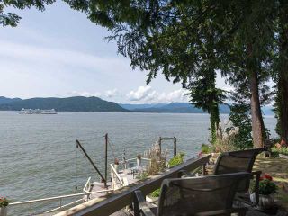 Photo 4: 8015 PASCO Road in West Vancouver: Howe Sound House for sale in "PASCO ESTATES" : MLS®# V1099779