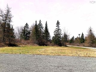Photo 8: 640 Highway 374 in Sheet Harbour: 35-Halifax County East Vacant Land for sale (Halifax-Dartmouth)  : MLS®# 202209666