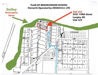 Photo 2: 53 3931 198 Street in Langley: Brookswood Langley Land for sale in "Brookswood Estates" : MLS®# R2477617