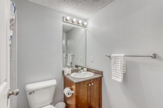 Photo 10: 1326 10 Prestwick Bay SE in Calgary: McKenzie Towne Apartment for sale : MLS®# A1255850