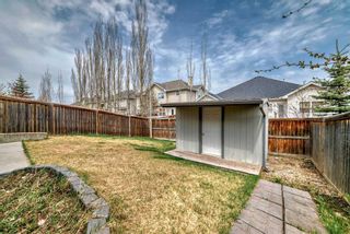 Photo 50: 161 Cranwell Bay SE in Calgary: Cranston Detached for sale : MLS®# A2129318